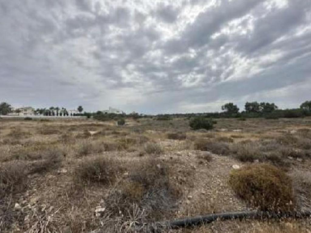 Field-Paralimni-PR40736