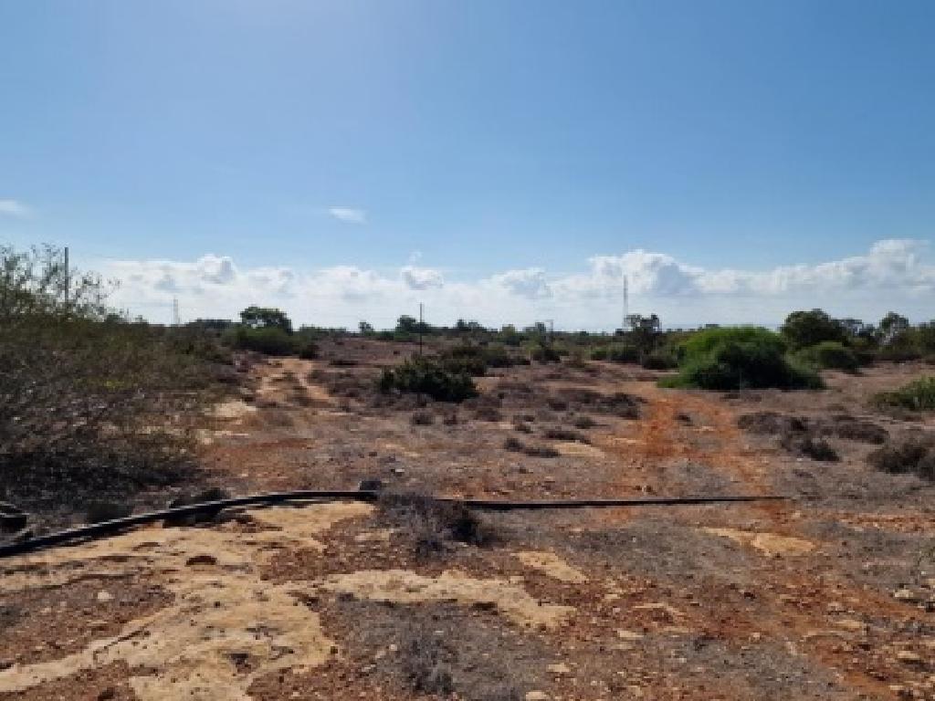 Field-Paralimni-PR40736