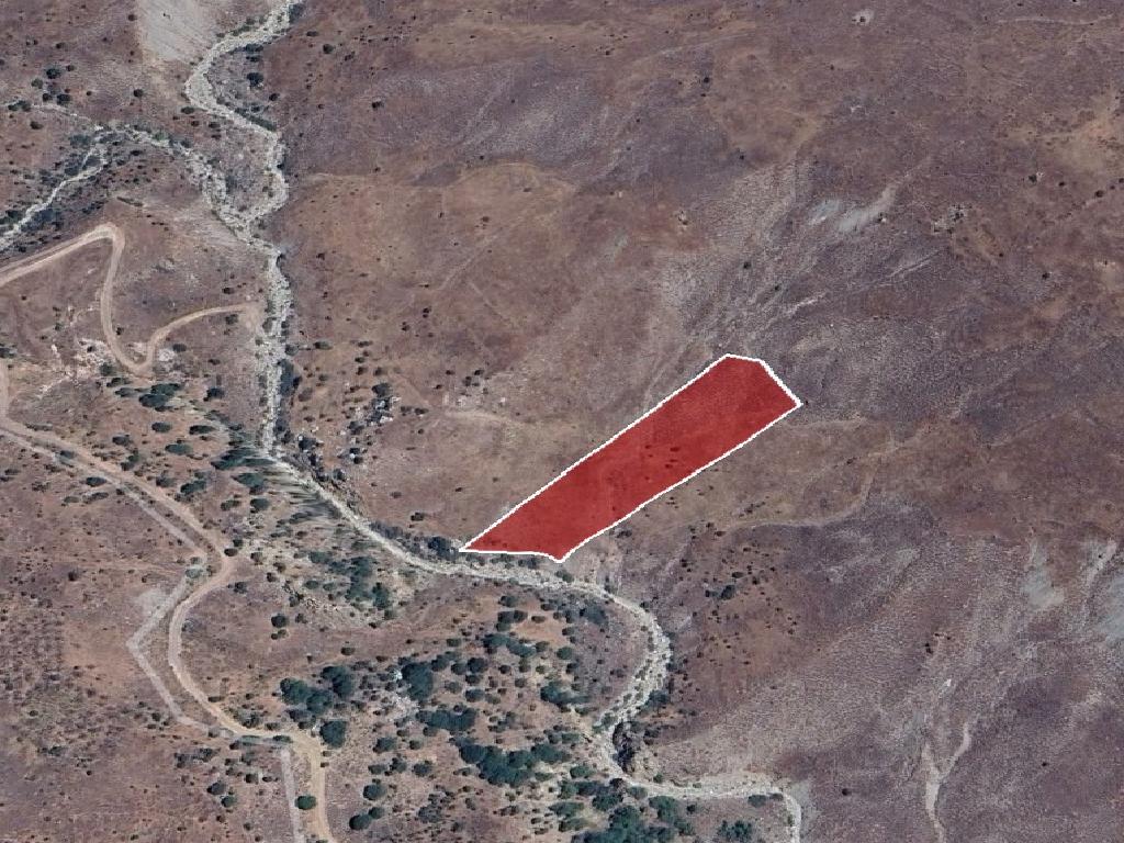 Field-Koilinia-PR41306