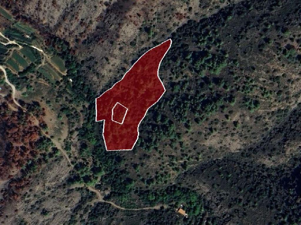 Field-Farmakas-CP10123