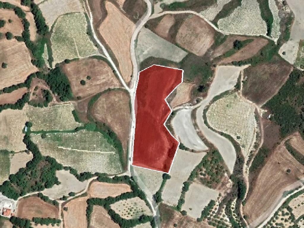 Field - Stroumpi, Paphos