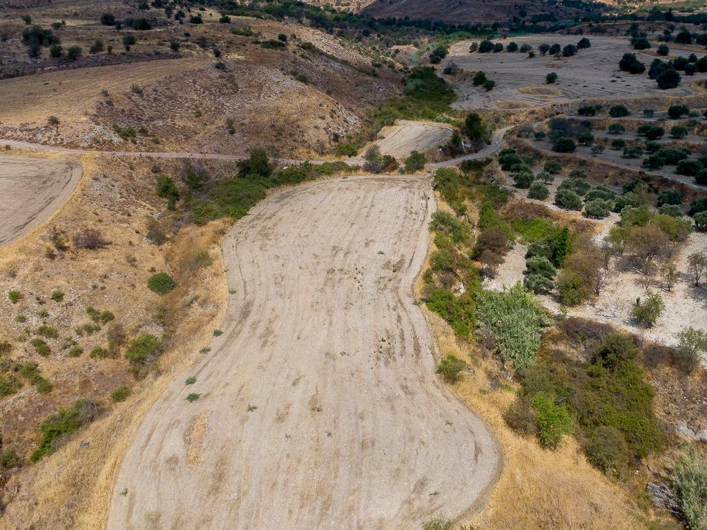 Field-Episkopi-PR43167