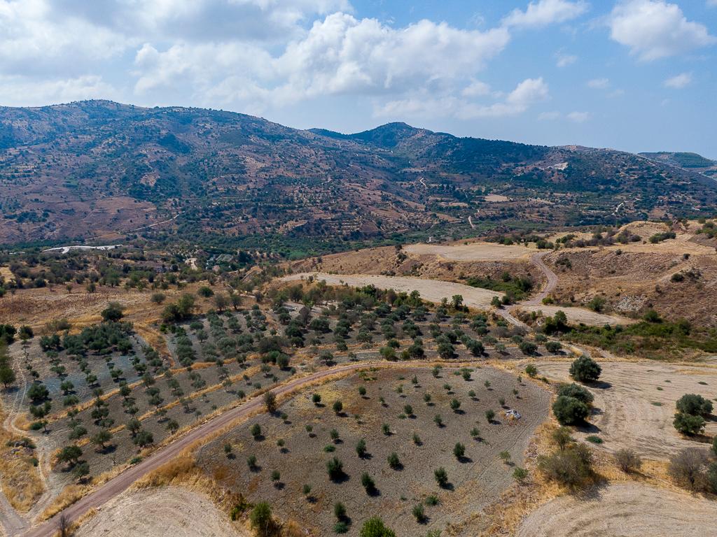 Field-Episkopi-PR43167