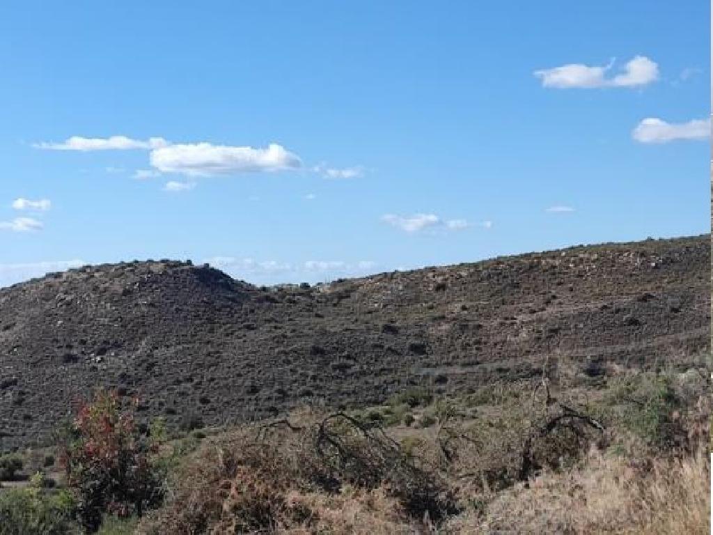 &Chi;&omega;&rho;ά&phi;&iota; - &Phi;&alpha;&sigma;&omicron;ύ&lambda;&alpha; , &Lambda;&epsilon;&mu;&epsilon;&sigma;ό&sigmaf;