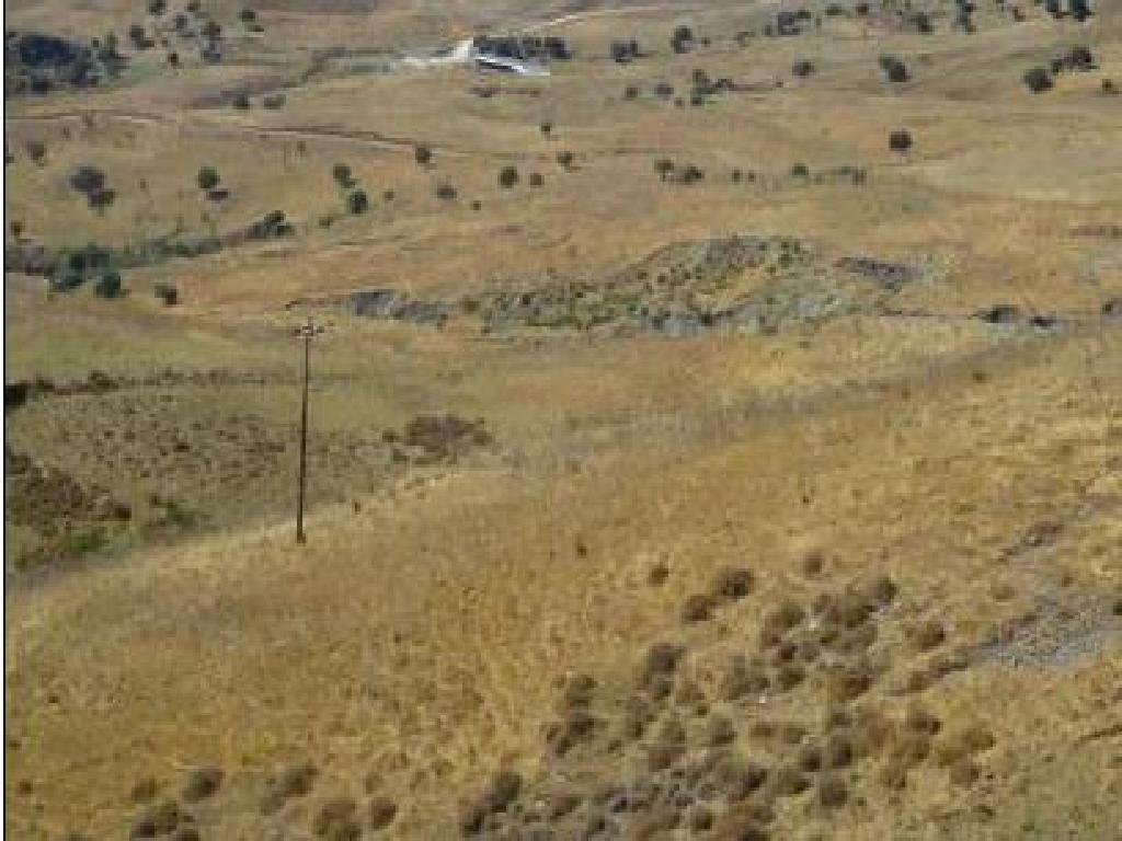 Field-Fyti-PR31998