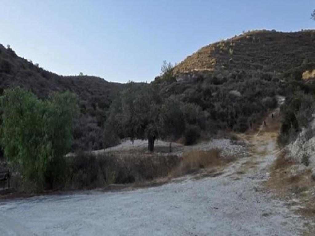 Field - Asgata, Limassol