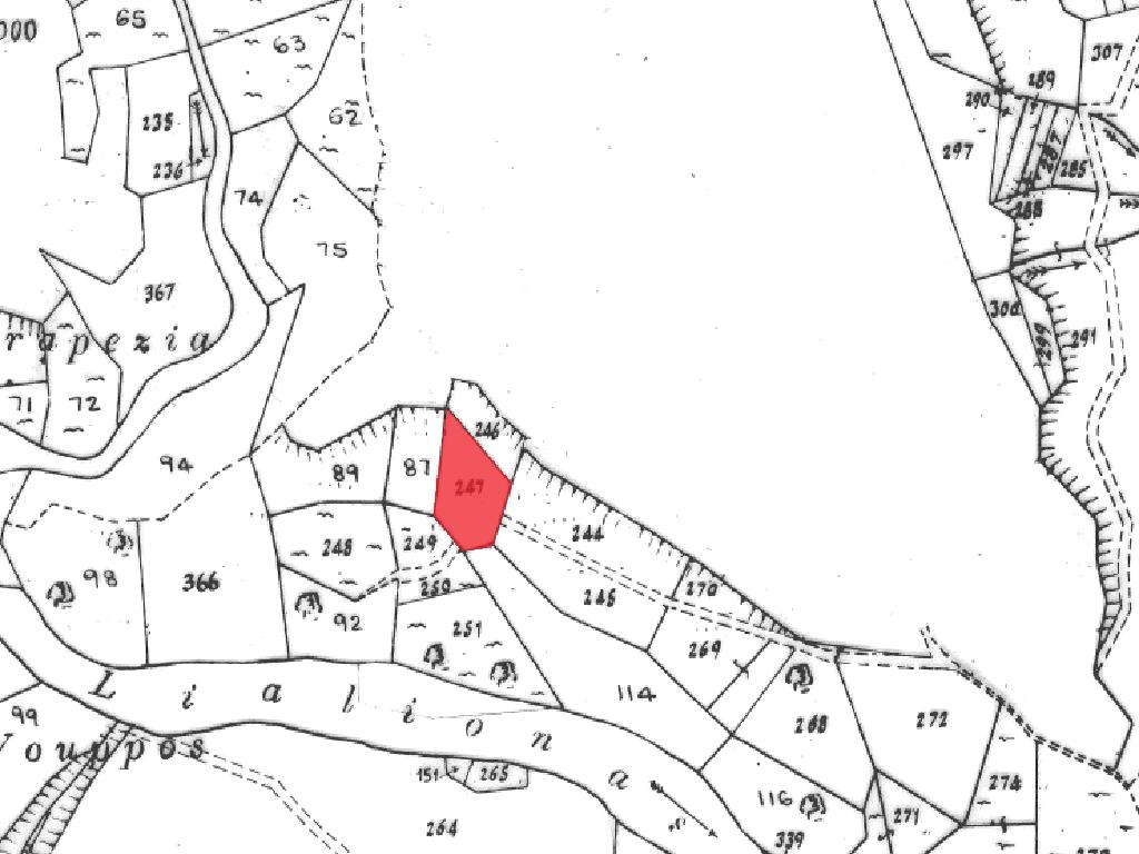 Field-Mesana-PR34875