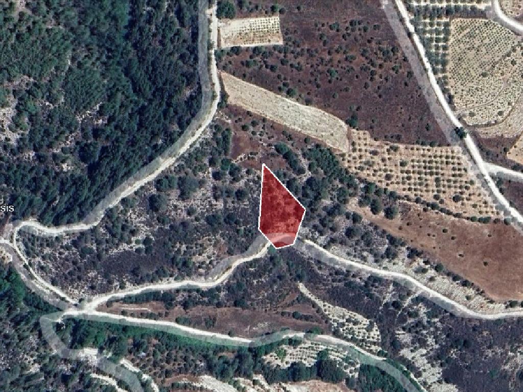 Field-Mesana-PR34875