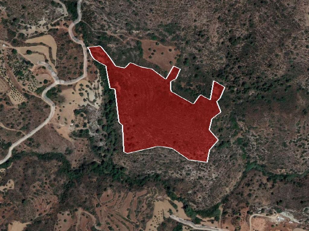 Field - Sanida, Limassol
