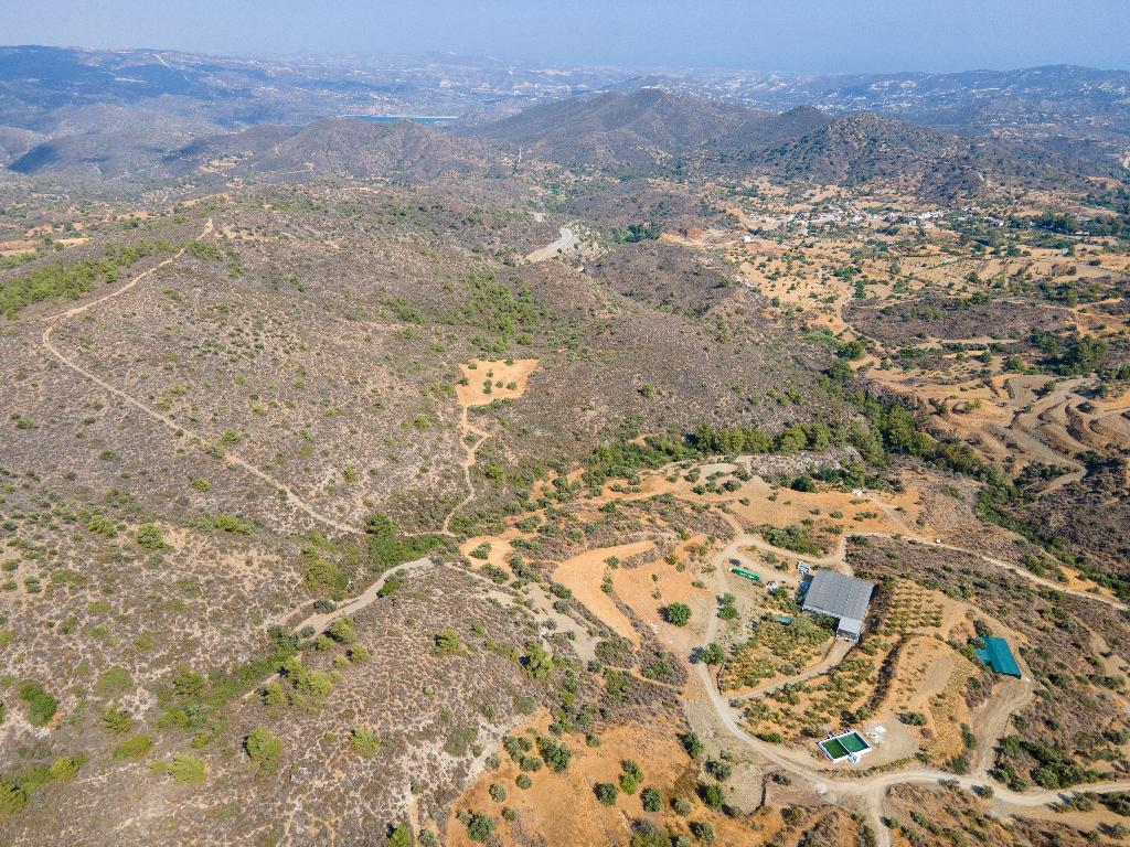 Field - Sanida, Limassol