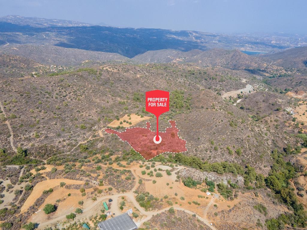 Field - Sanida, Limassol