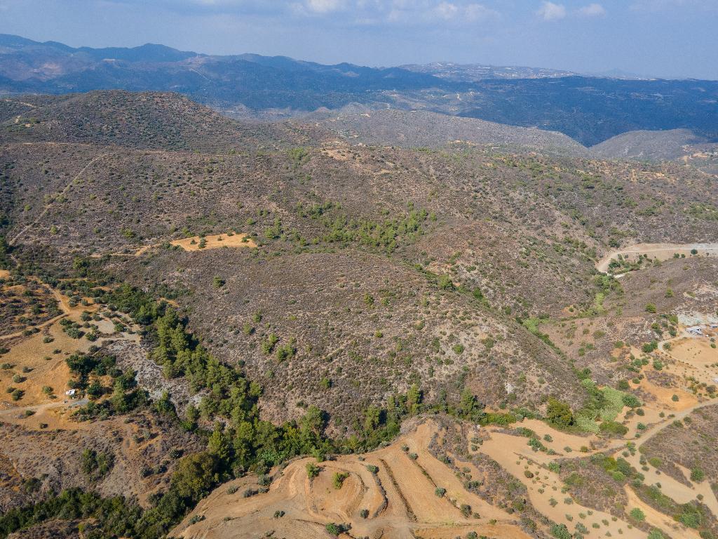 Field - Sanida, Limassol