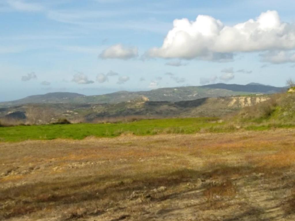 Field-Stroumpi-PR34358