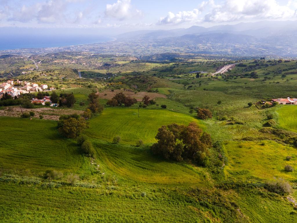 Field-Drouseia-PR36157