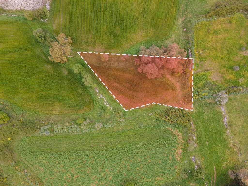 Field-Drouseia-PR36157
