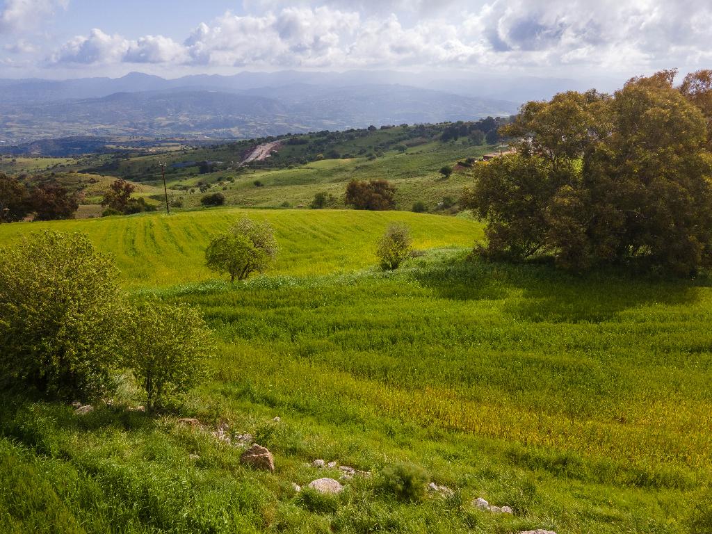 Field-Drouseia-PR36157
