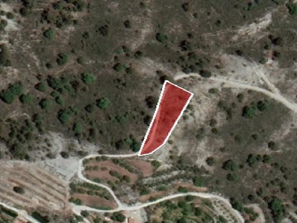 Field-Agridia-PR36380