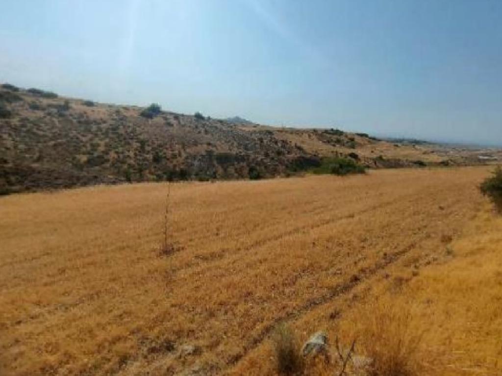 Field - Nikitari, Nicosia