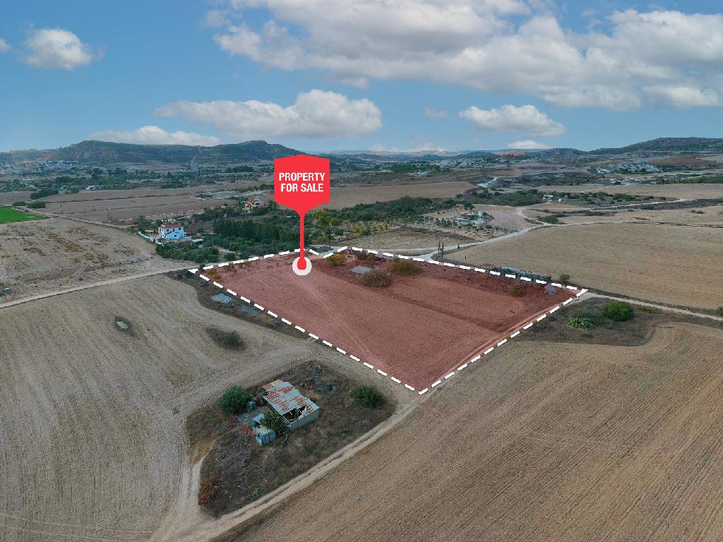 Field - Pyla, Larnaca