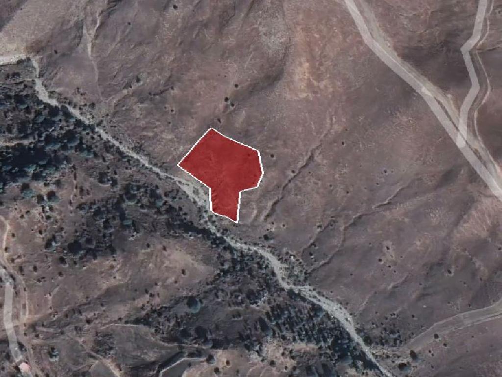 Field-Koilinia-PR37433