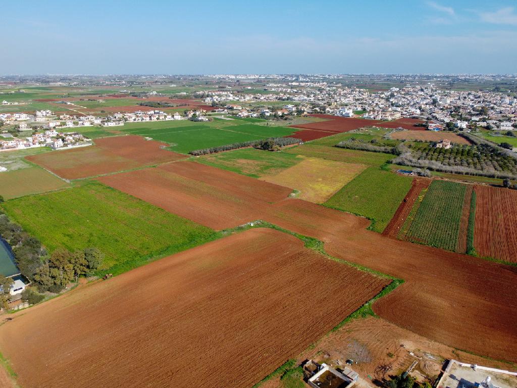 Field - Liopetri, Famagusta