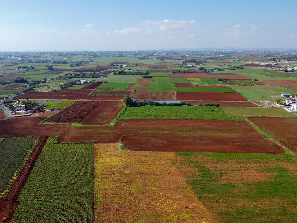 Field - Liopetri, Famagusta