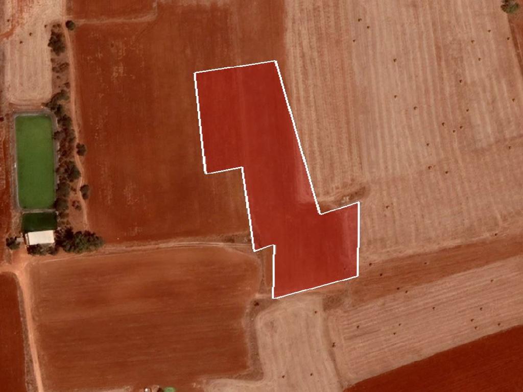 Field-Liopetri-PR37512