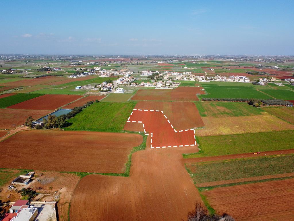 Field - Liopetri, Famagusta