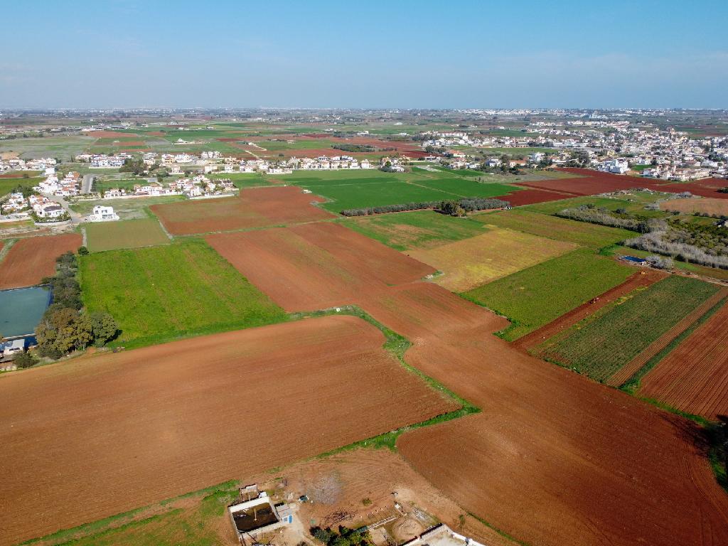 Field - Liopetri, Famagusta