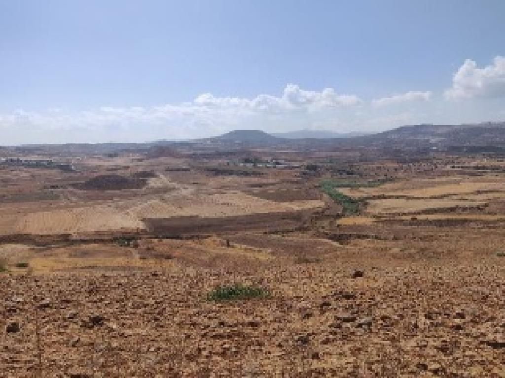 Field - Orounta, Nicosia