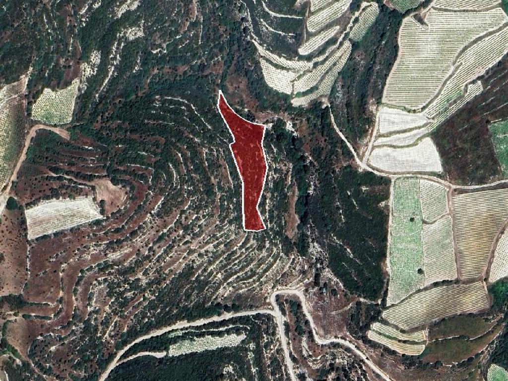 Field-Koilani-PR39275