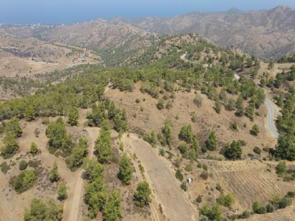 Field-Pano Pyrgos-PR39385