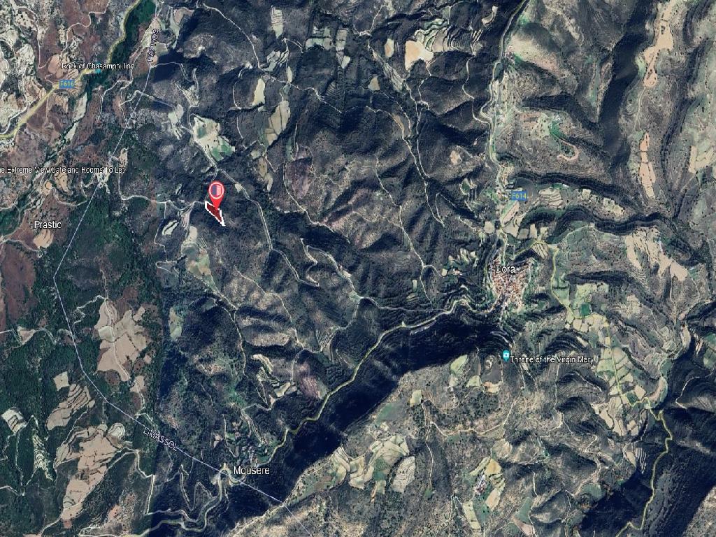 Field-Dora-PR39876