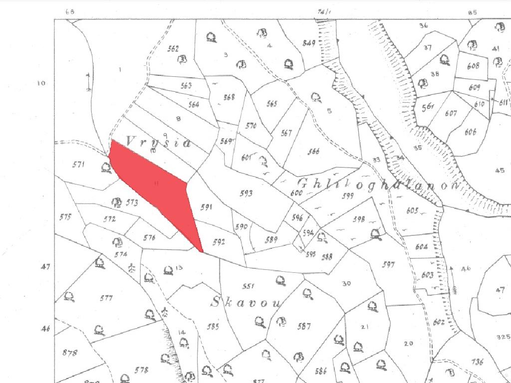 Field-Dora-PR39876