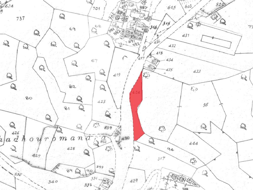 Field-Pissouri-PR40821