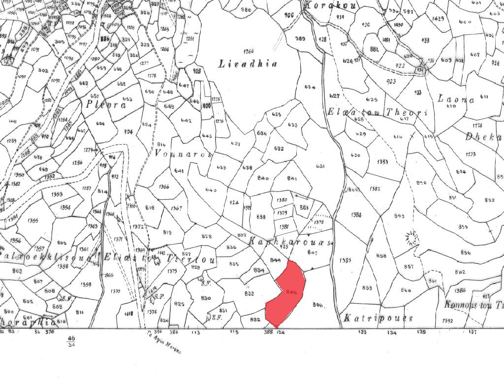 Field-Pentalia-PR41300