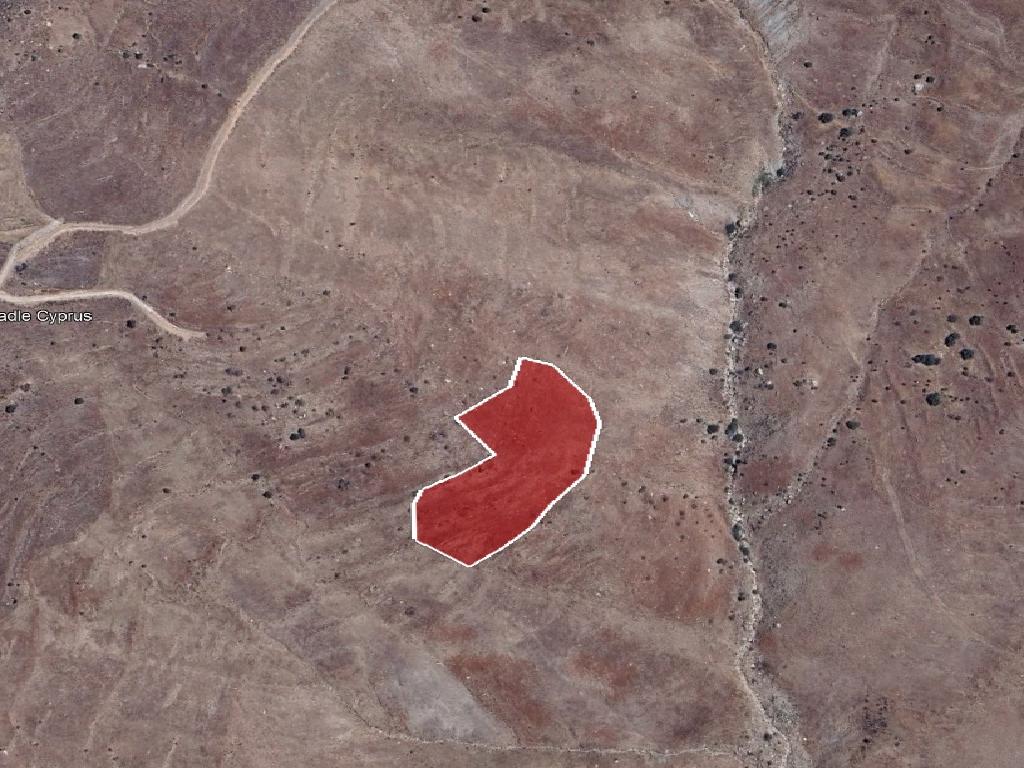 Field-Pentalia-PR41300