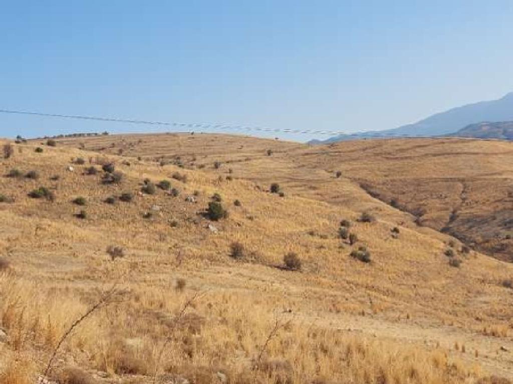 Field - Pentalia, Paphos