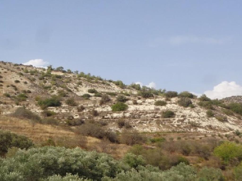 Field-Amargeti-PR41530