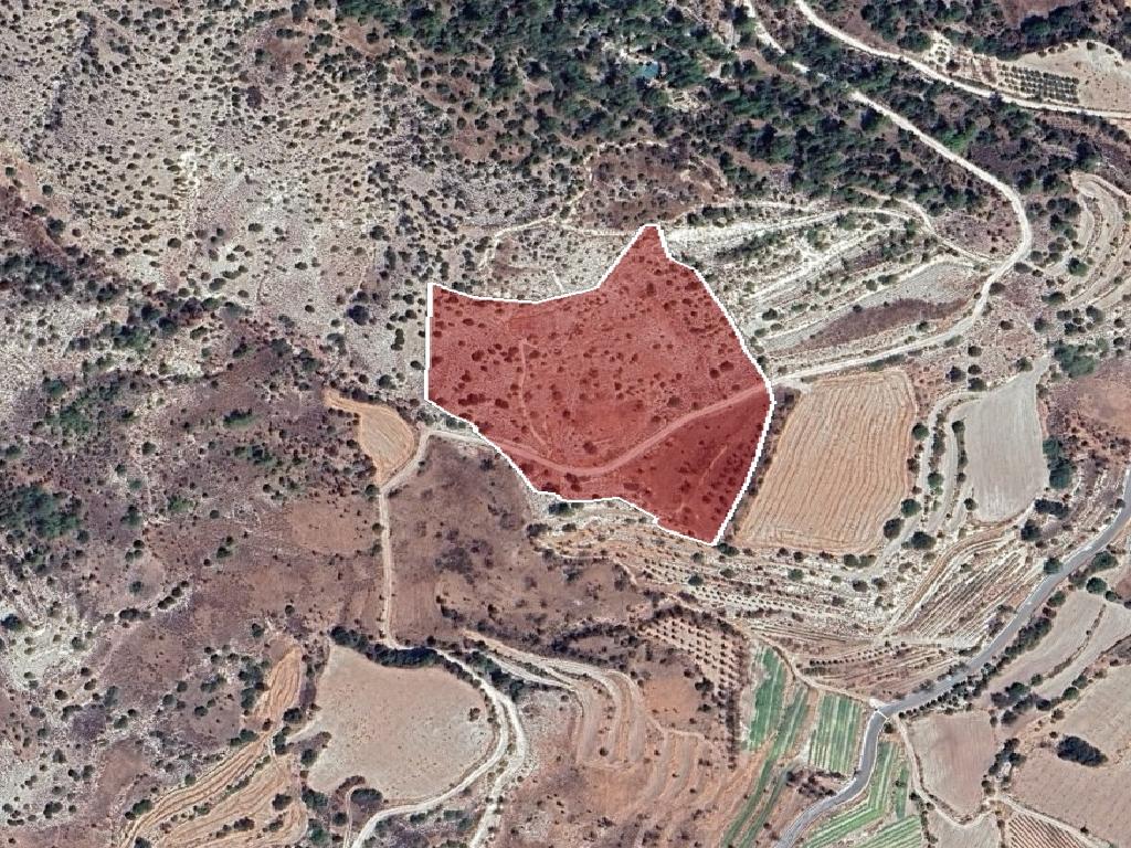 Field-Amargeti-PR41530