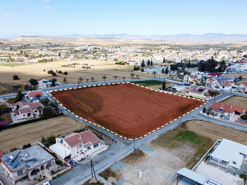 Field-Athienou-PR42262
