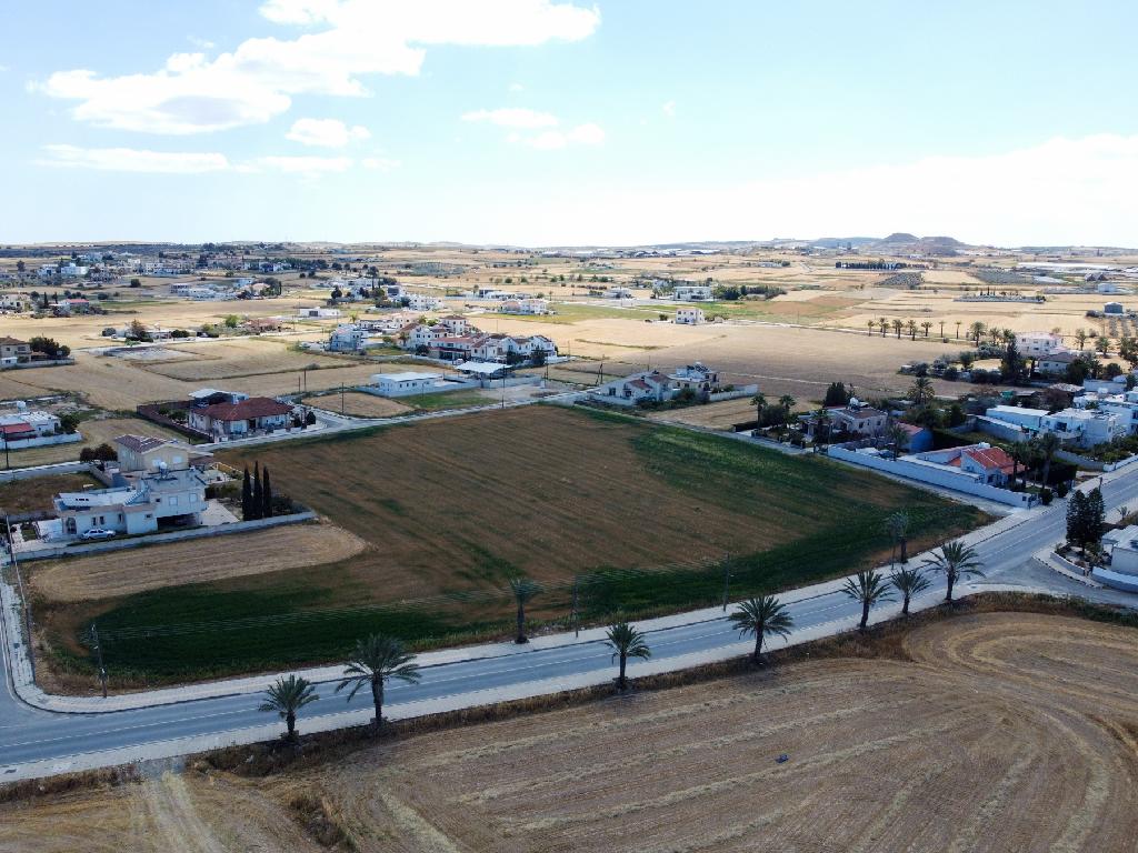 Field-Athienou-PR42262