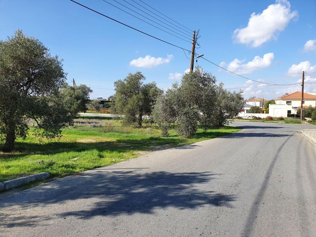 Field - Latsia, Nicosia