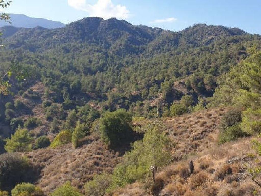 Field-Agios Mamas-PR12691