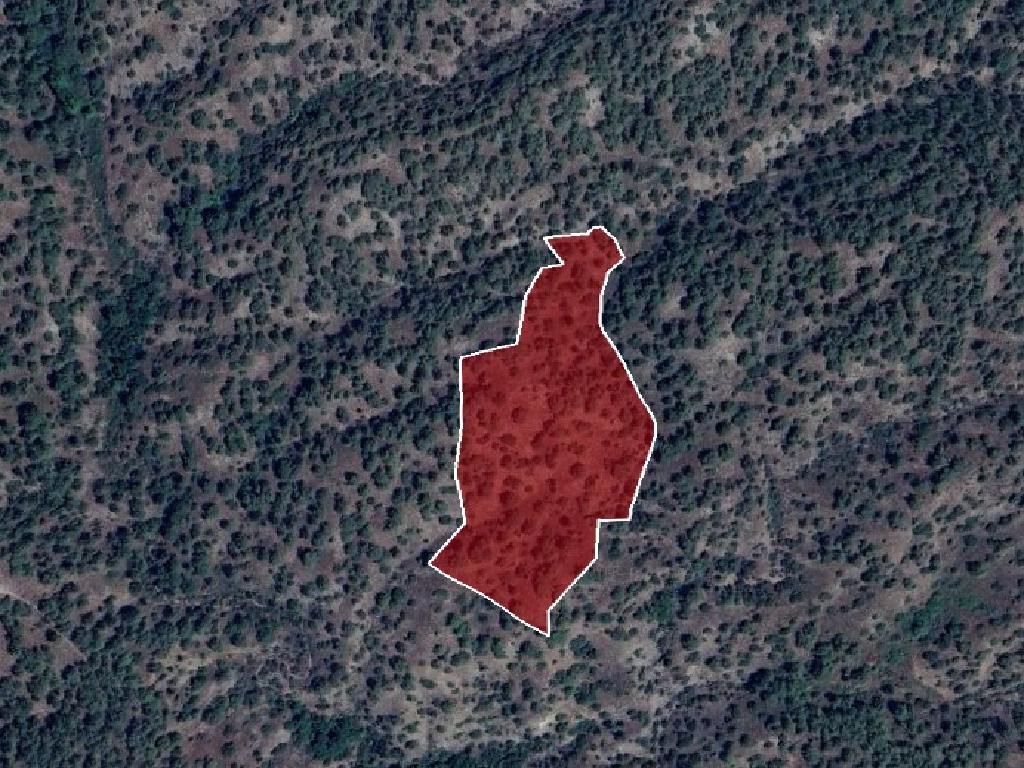 Field-Agios Mamas-PR12691