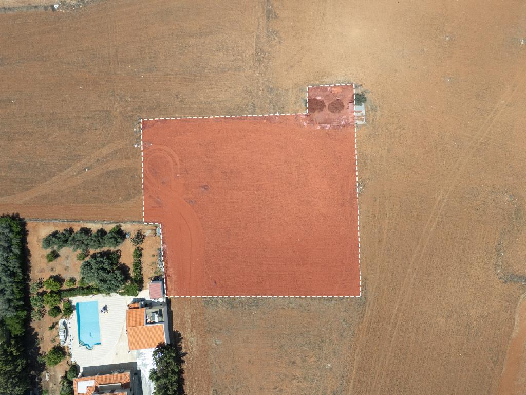 Field-Kokkinotrimithia-PR32354