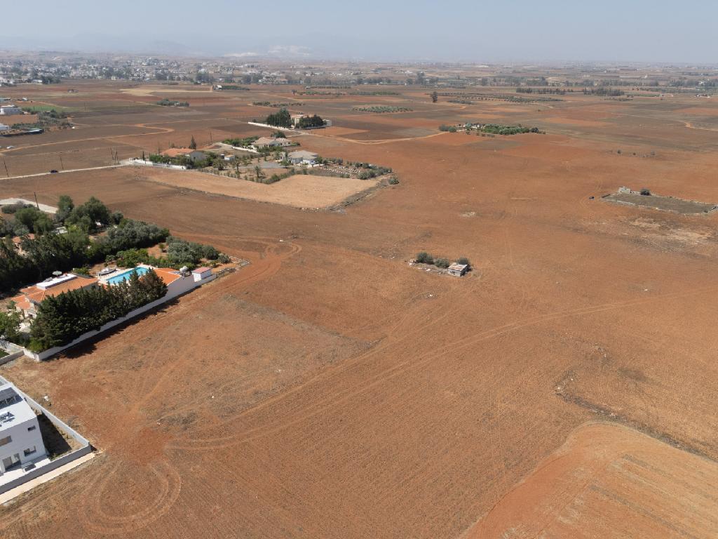 Field-Kokkinotrimithia-PR32354