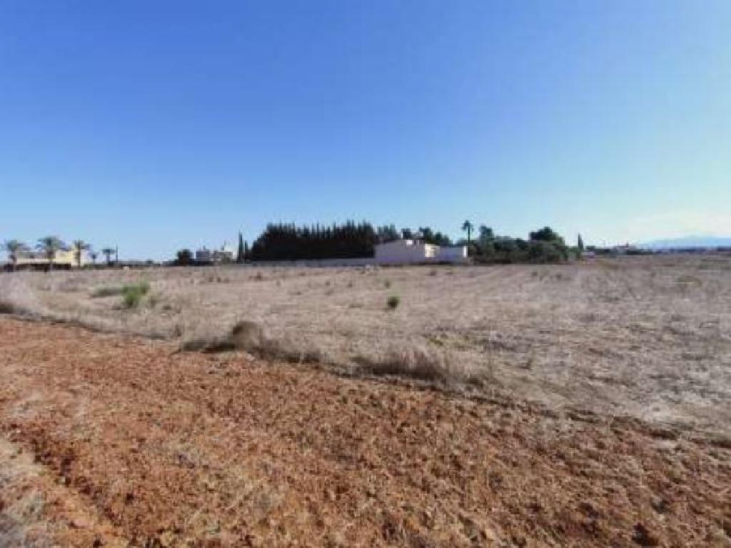 Field-Kokkinotrimithia-PR32354