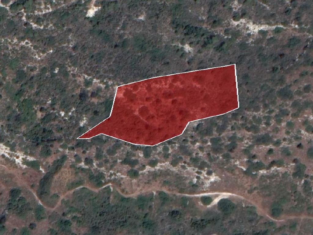 Field-Moni-PR32833