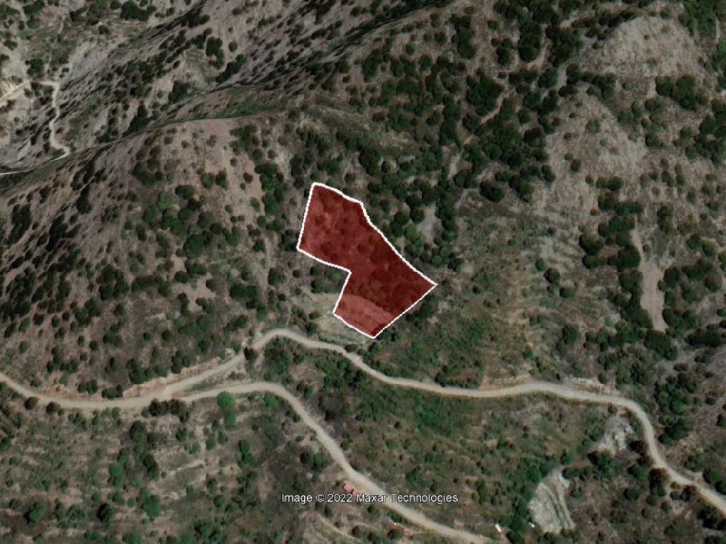 Field-Agros-PR36175